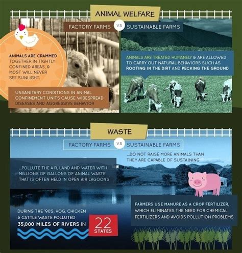 what are the negative effects of factory farming bio 100